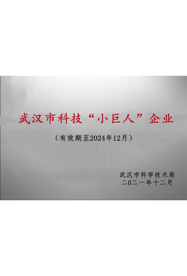 武漢市科技“小巨人”企業(yè)